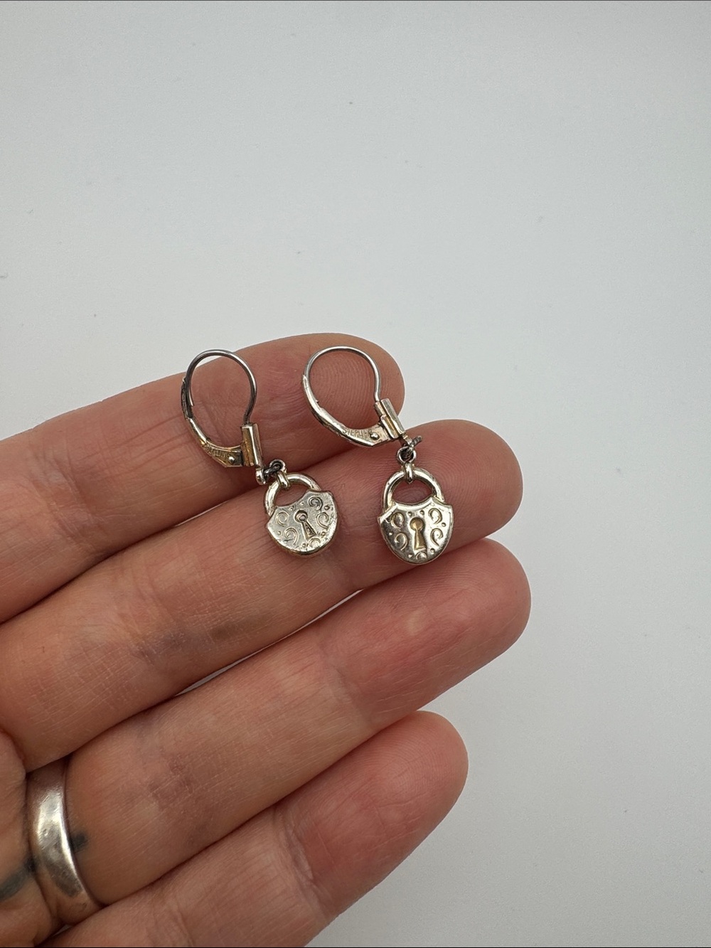 Sterling silver with Surgical Steel wires. Leverback earrings. Heart.